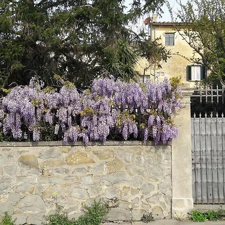 Casa Leonardo Da *